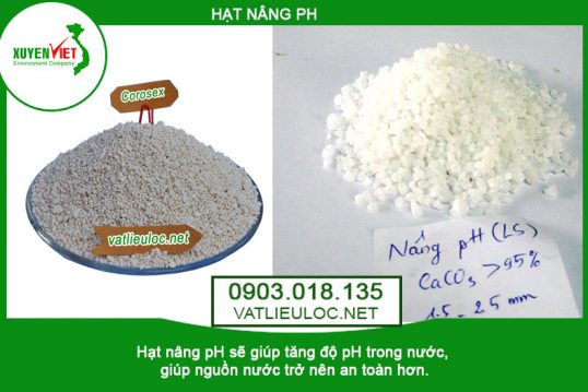 Sản phẩm hạt nâng PH - Vật Liệu Lọc Nước Xuyên Việt - Công Ty TNHH Môi Trường Xuyên Việt
